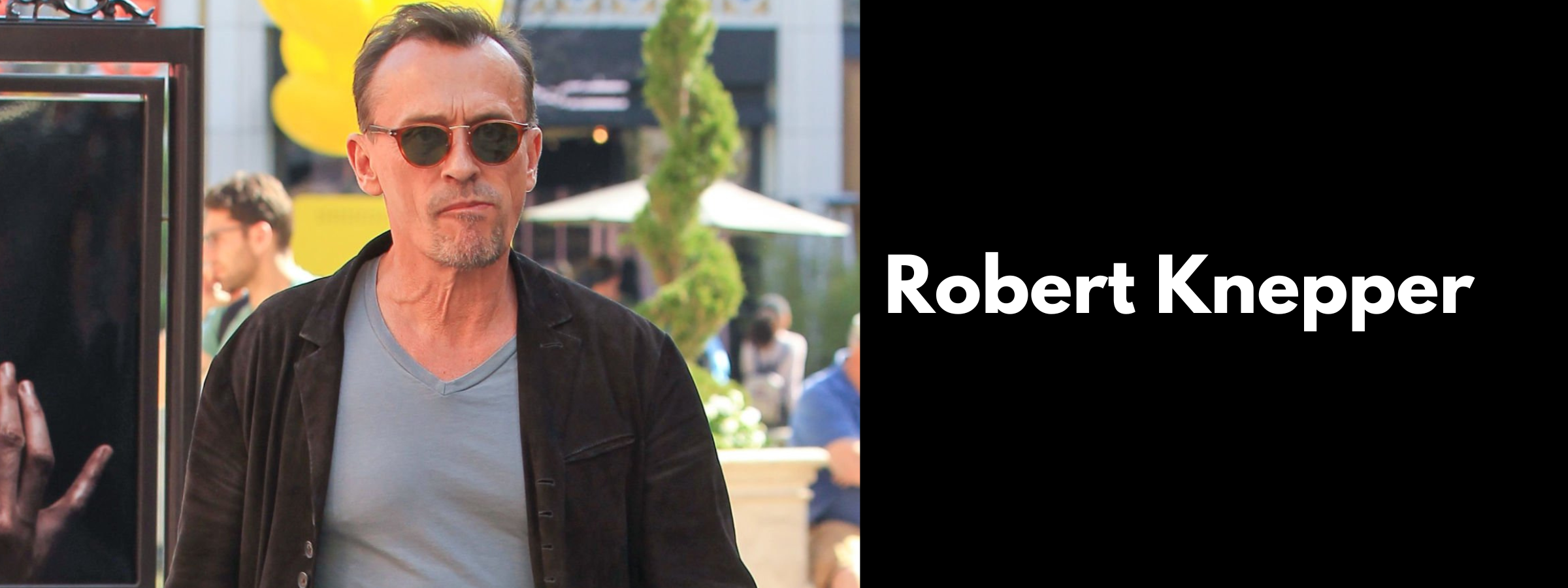 Robert Knepper Sunglasses