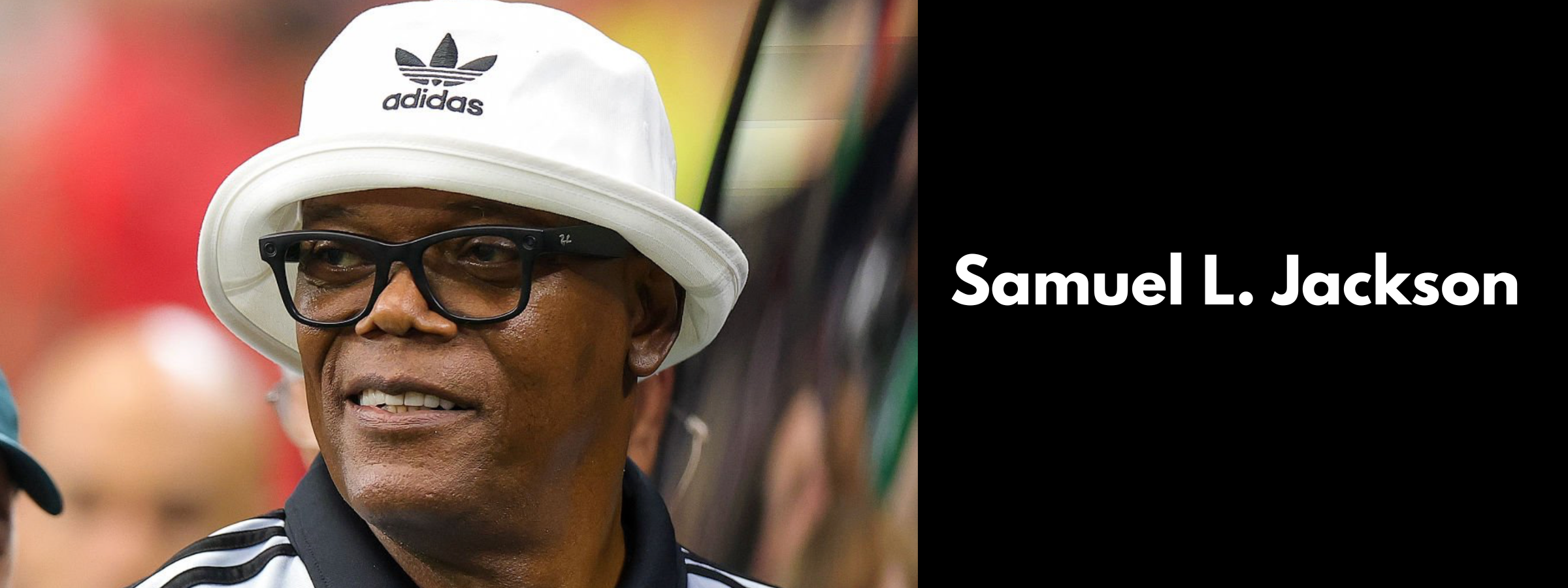Samuel L Jackson Sunglasses