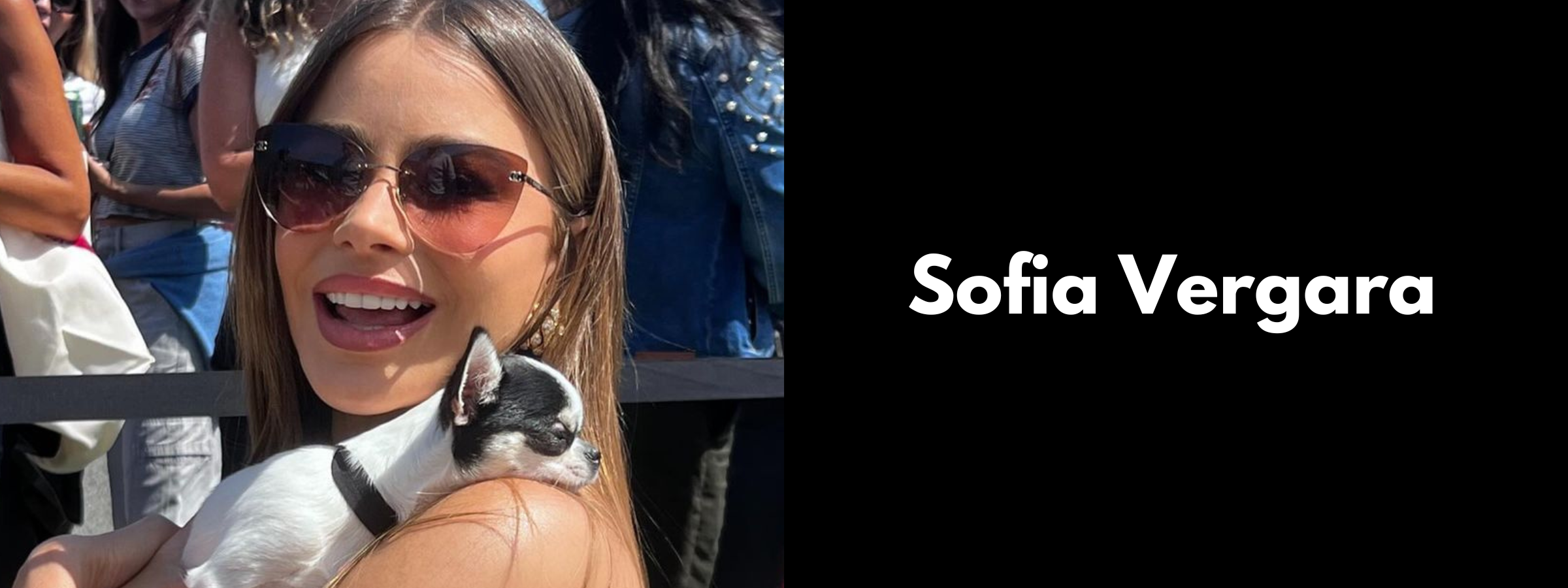 Sofia Vergara Sunglasses