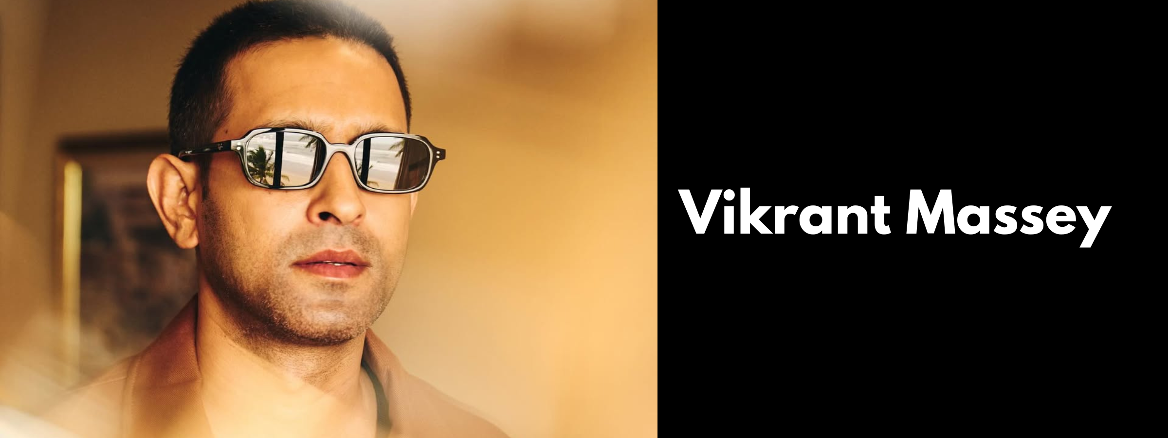 Vikrant Massey Sunglasses