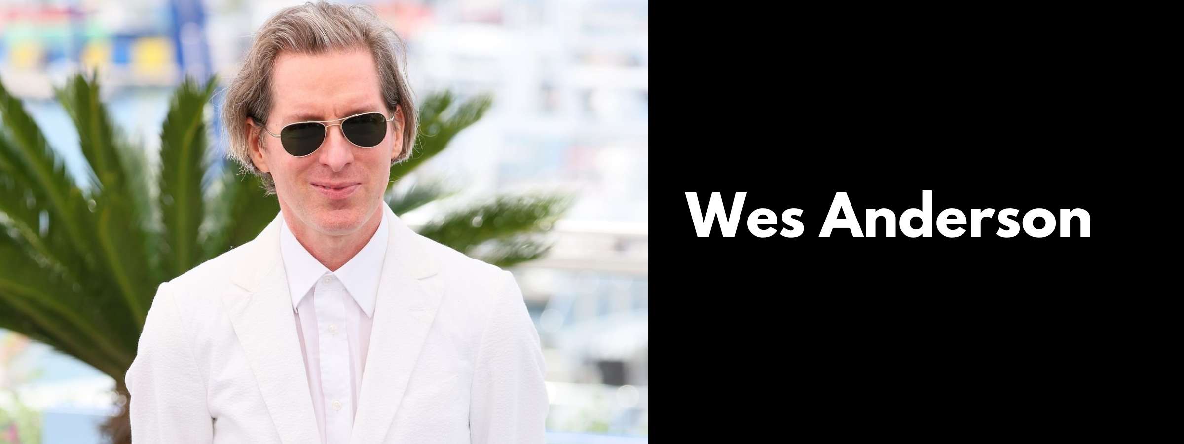 Wes Anderson Sunglasses