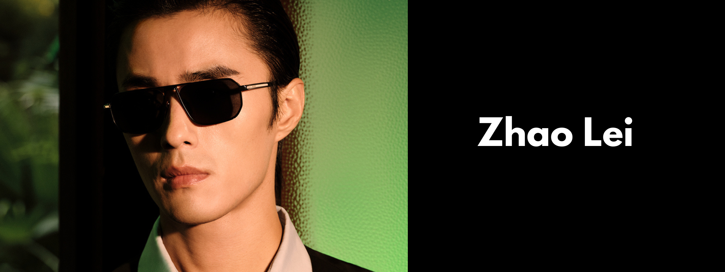 Zhao Lei Sunglasses