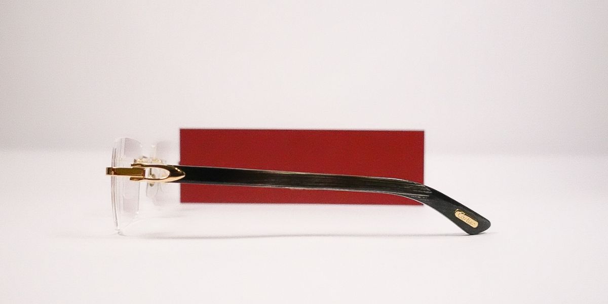 Cartier Buffalo Horn CT0453O 001