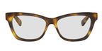 CELINE Triomphe Mini CL50184I 053