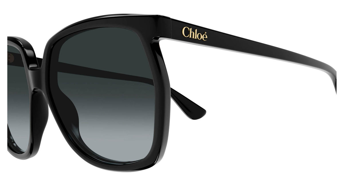 Chloe CH0389S 001