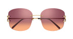 Cartier CT0037RS 002