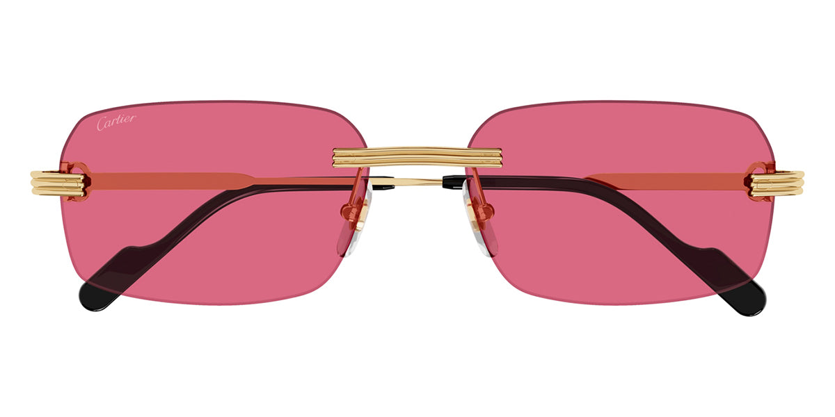 Cartier CT0271S 010