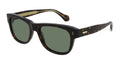 Cartier CT0277S 002