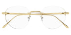 Cartier Pasha CT0342O 002