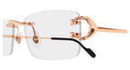 Cartier CT0344O 005