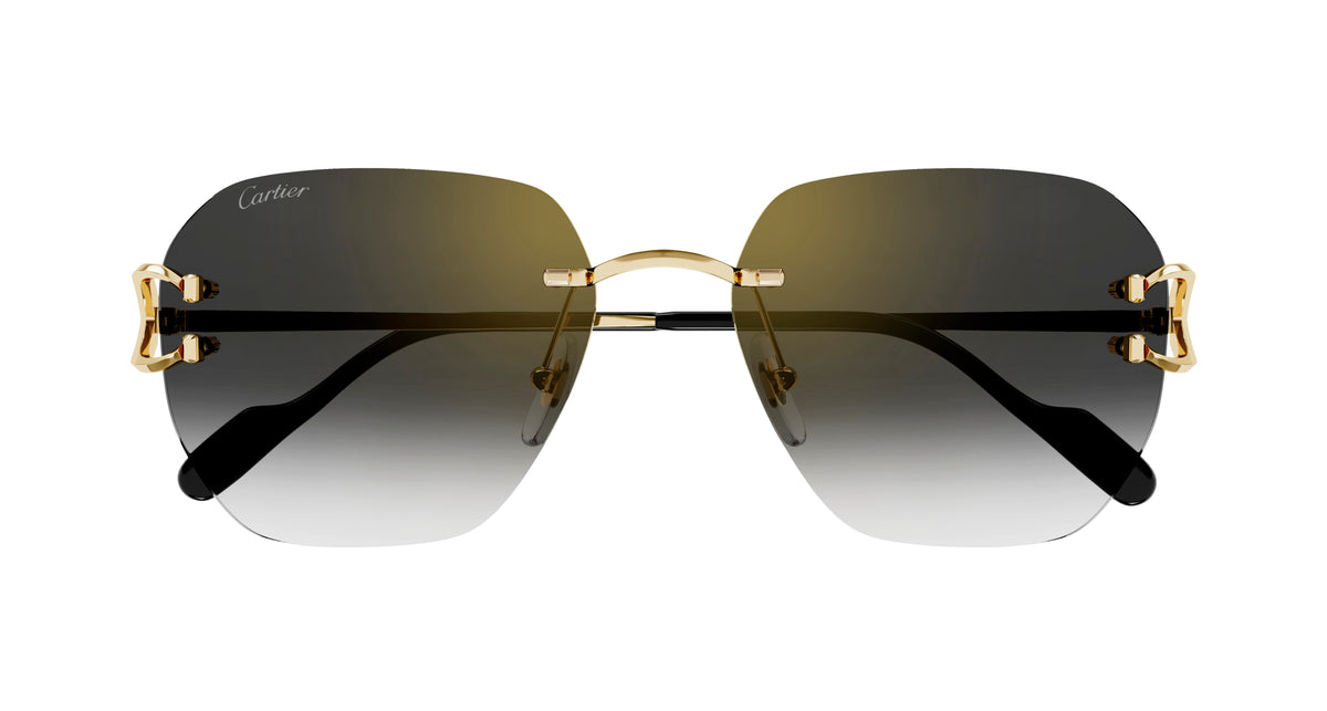 Cartier CT0394S 001