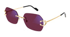 Cartier CT0416S 001 Blue & Beyond