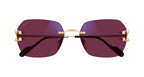 Cartier CT0416S 001 Blue & Beyond