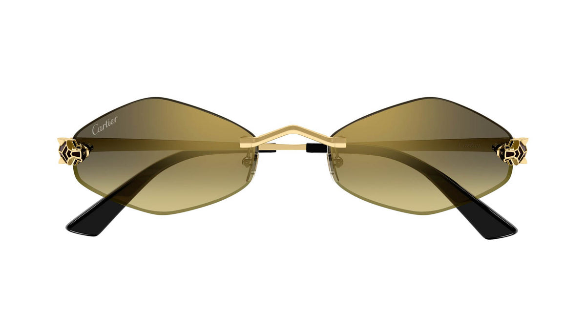 Cartier CT0433S 008