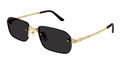 Cartier CT0460S 001
