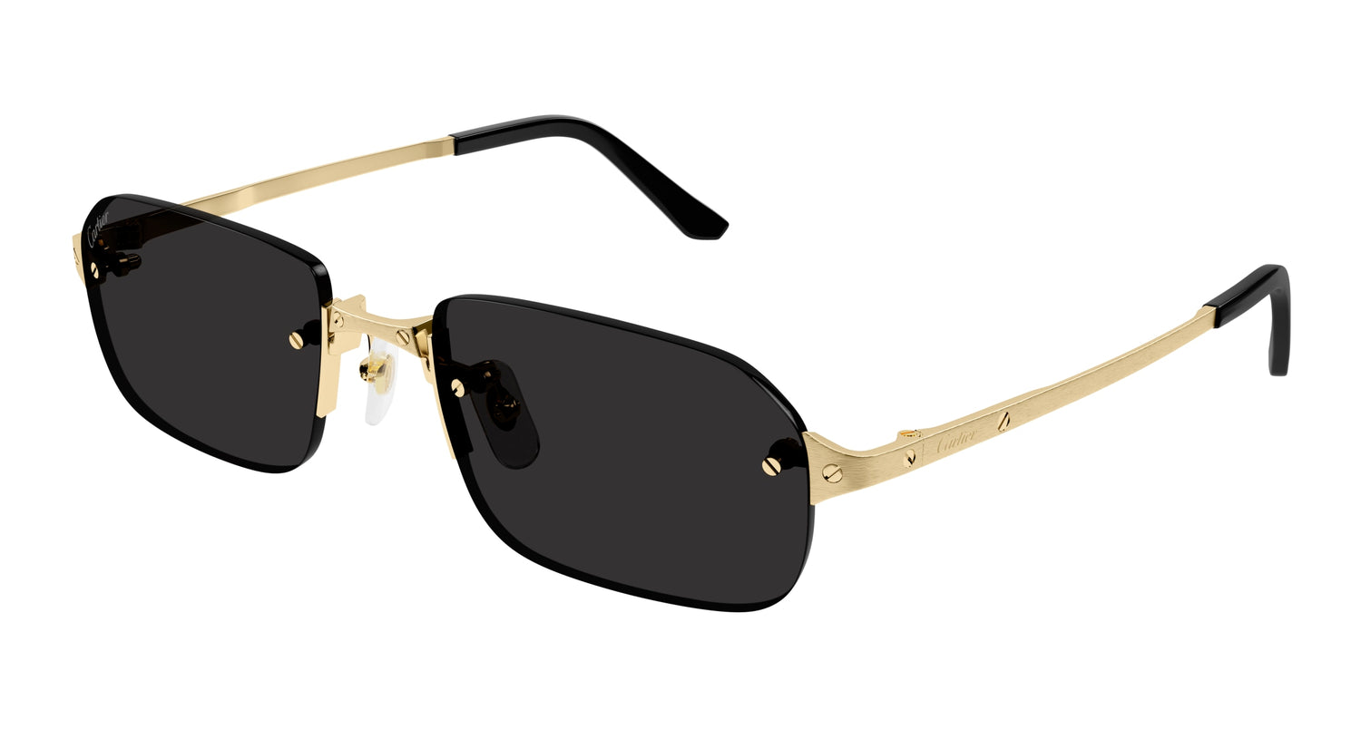 非売品【希少】Cartier 夜空デザイン プレート専用ボックス付きカルティエ Cartier CT0460S 001 Sunglasses - US