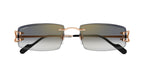 Cartier CT0465S 009