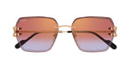 Cartier CT0466S 005