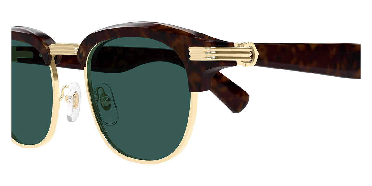 Cartier CT0496S 002