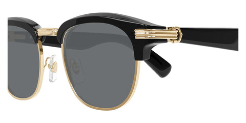 Cartier CT0496S 003