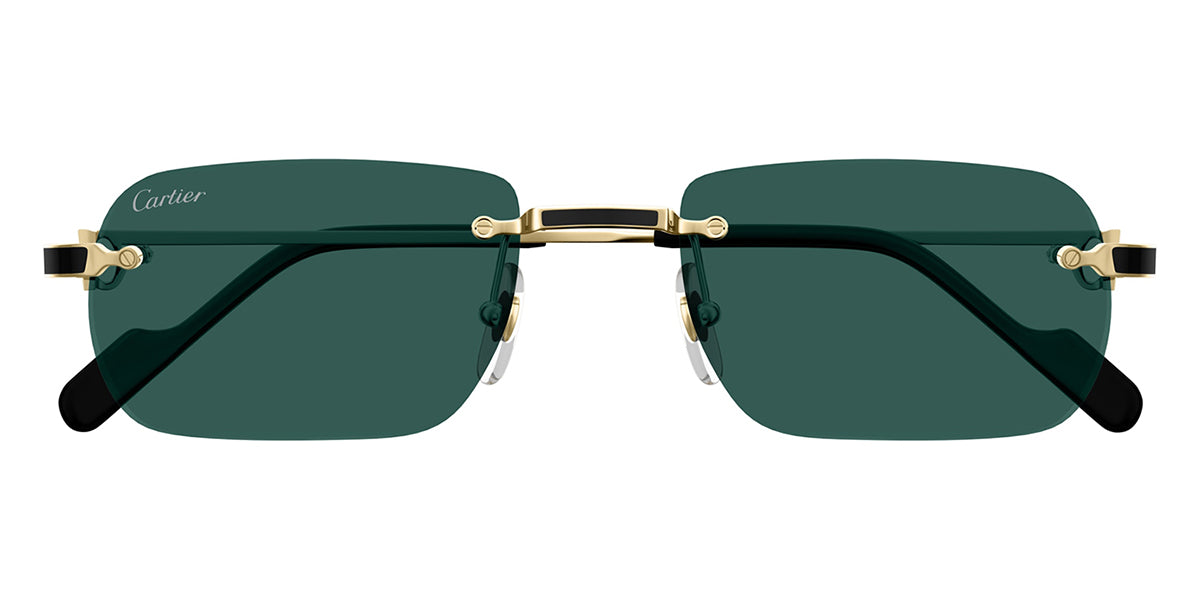 Cartier CT0498S 003