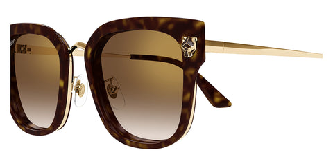 Cartier CT0509SA 002