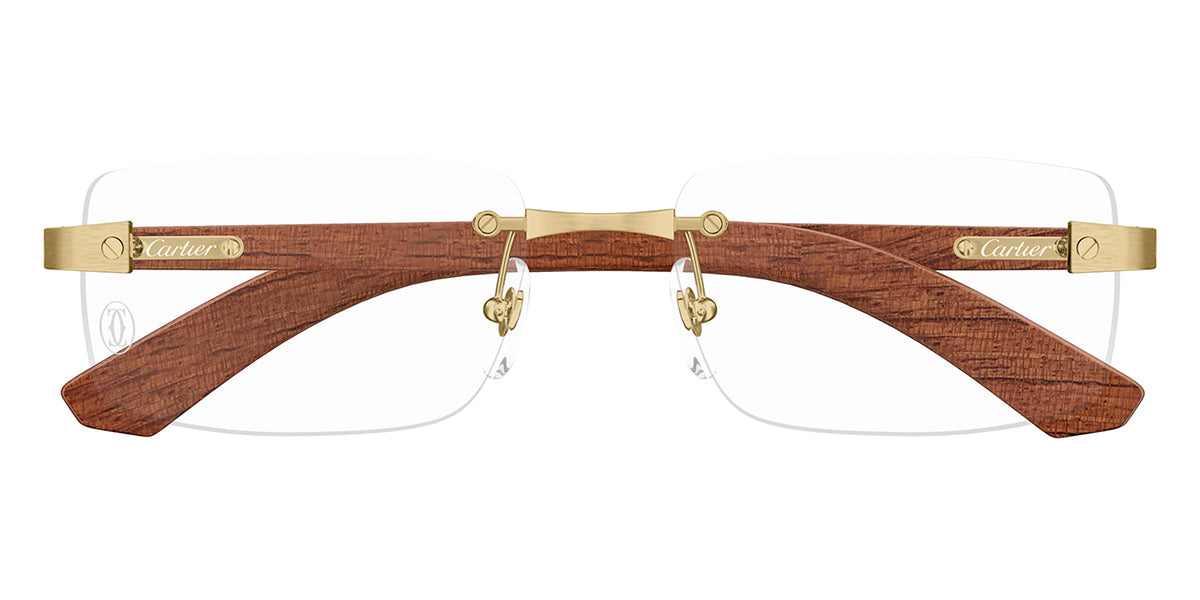 Cartier CT0513O 002