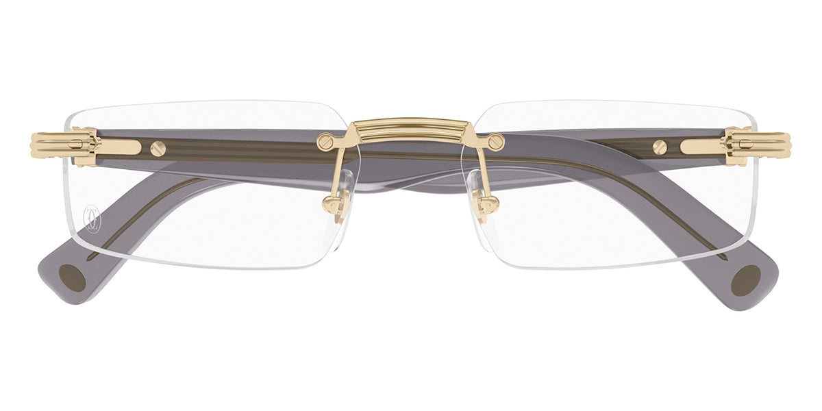 Cartier CT0537O 001
