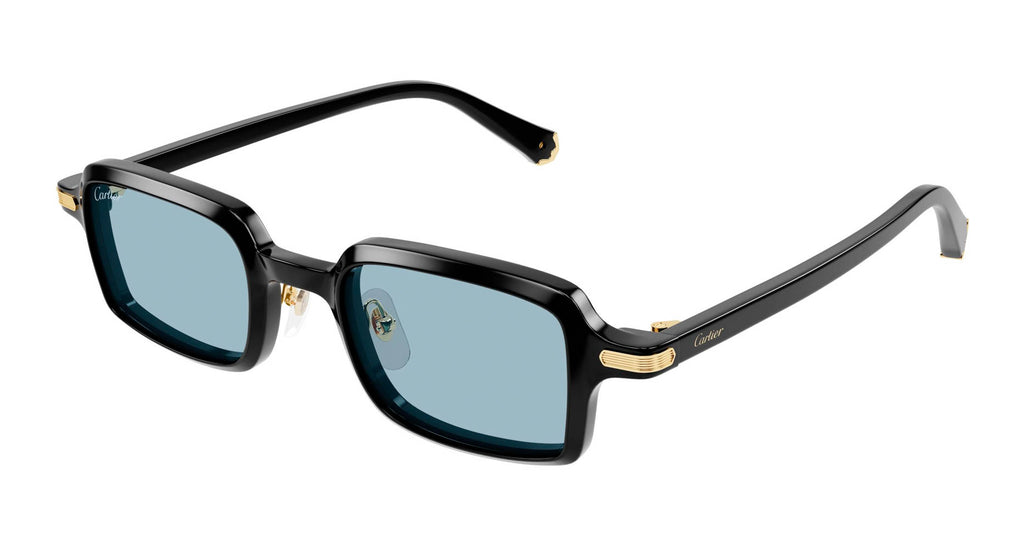 Cartier CT0539S 006