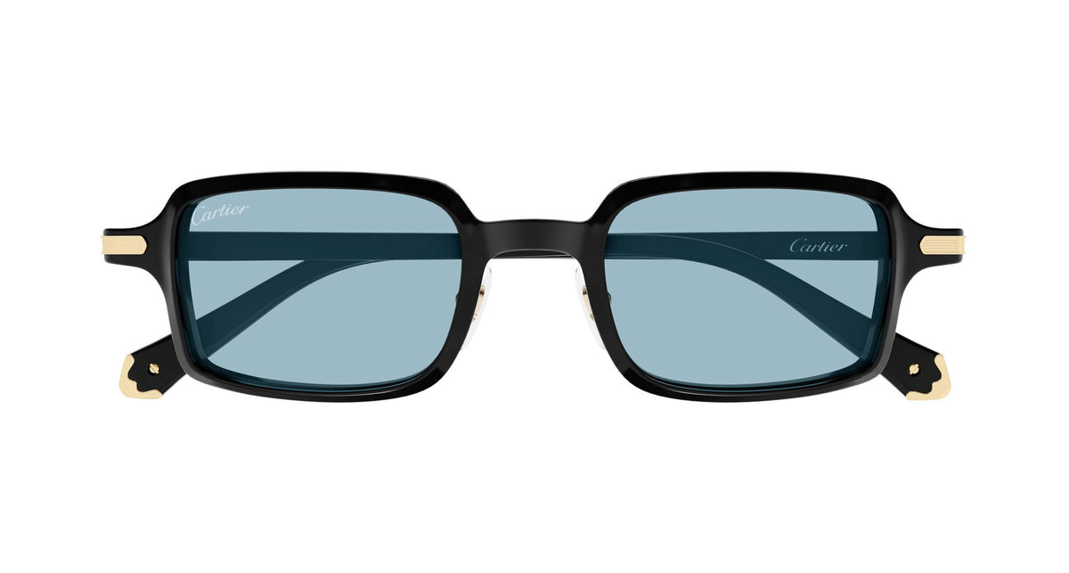 Cartier CT0539S 006