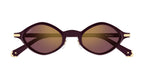 Cartier CT0540S 006
