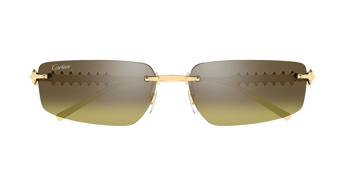 Cartier CT0544S 006