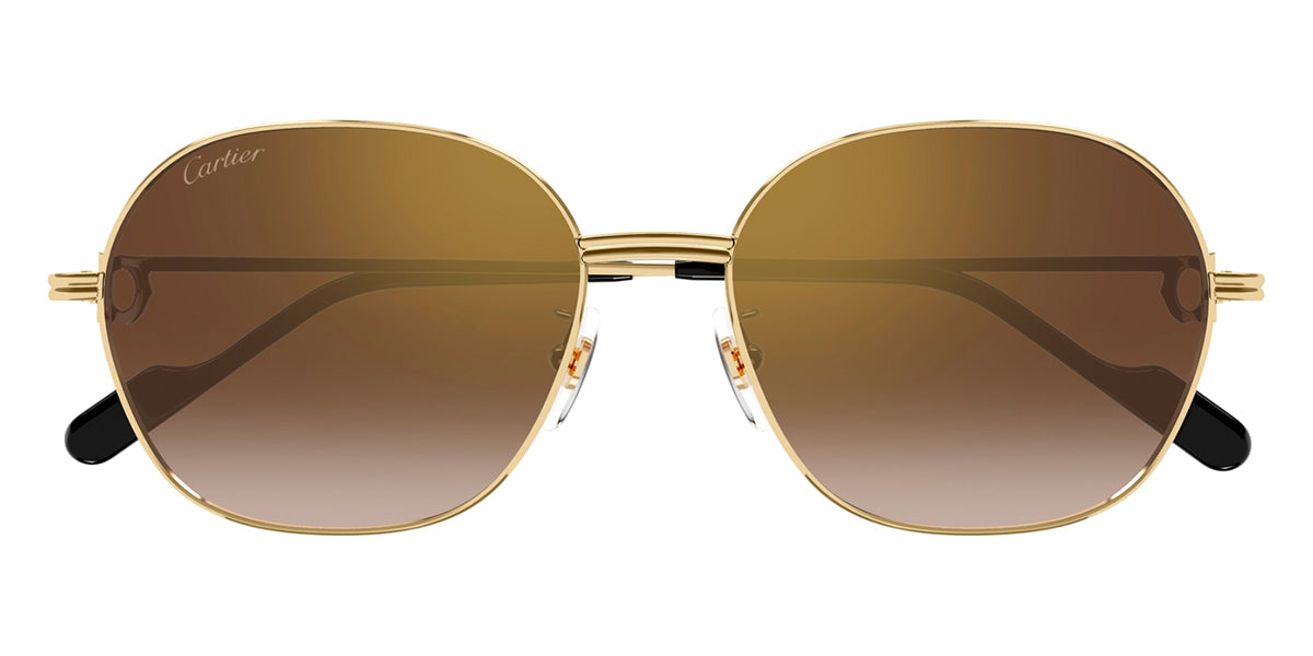 Cartier CT0569SA 002