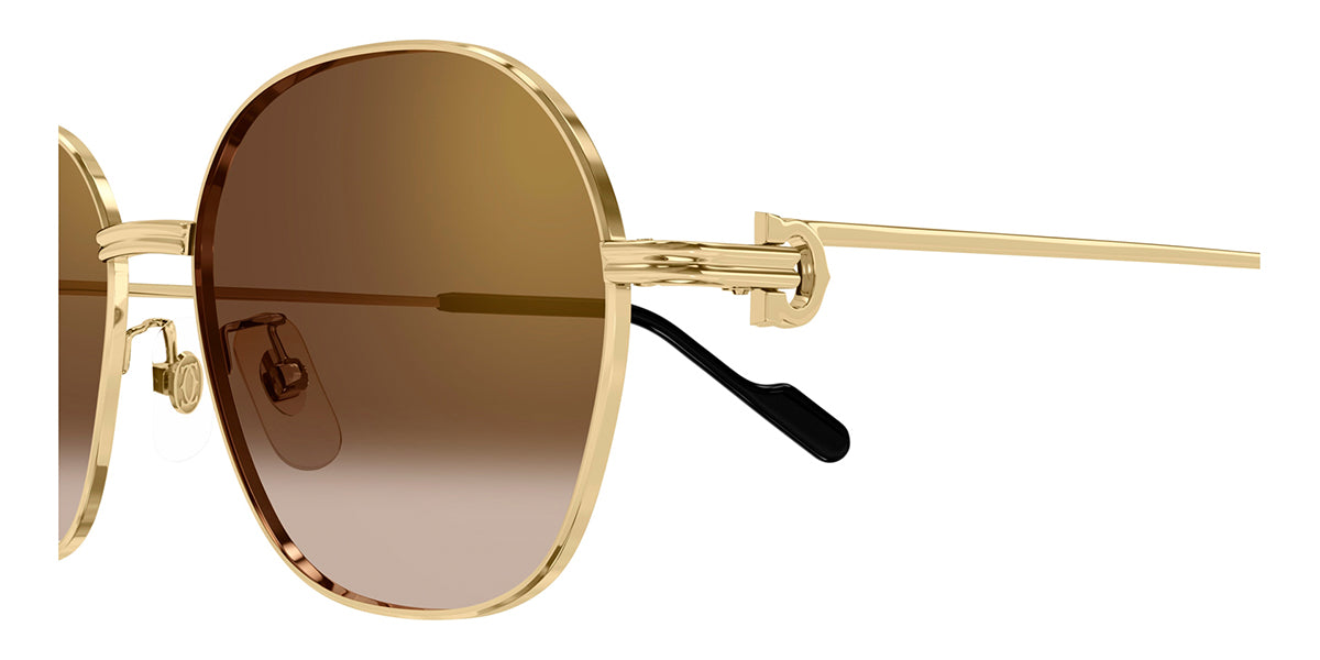 Cartier CT0569SA 002
