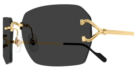 Cartier CT0664S 001