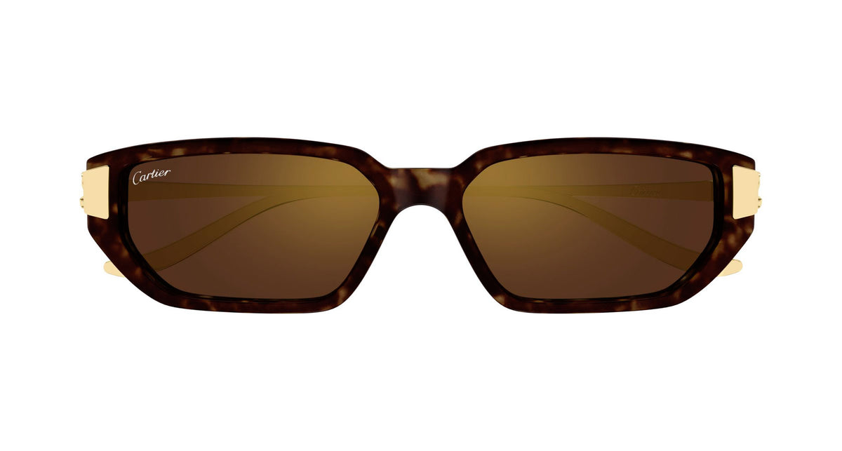 Cartier CT0674S 003