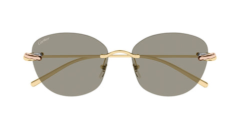 Cartier CT0685S 003