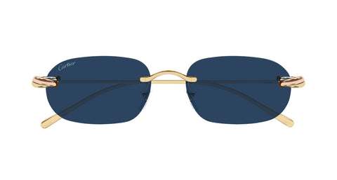 Cartier CT0686S 002