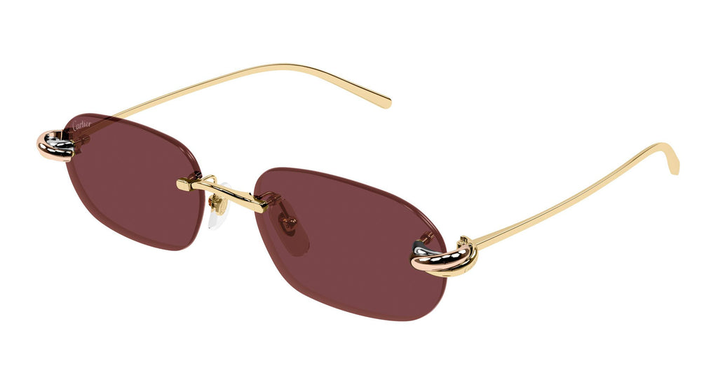 Cartier CT0686S 004