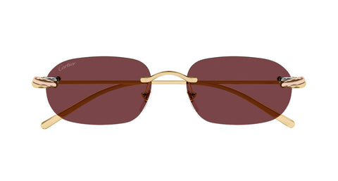 Cartier CT0686S 004