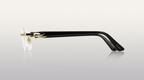 Cartier CT0287O 001