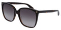 Gucci GG0022S 003 - As Seen On Dakota Johnson & Gemma Owen