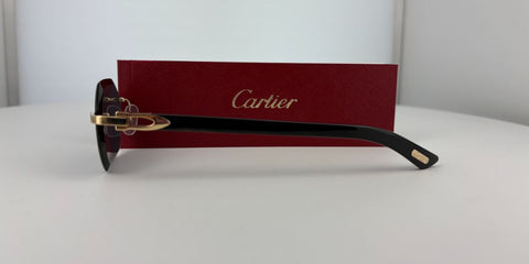 Cartier Buffalo Horn CT0439S 001 8C2