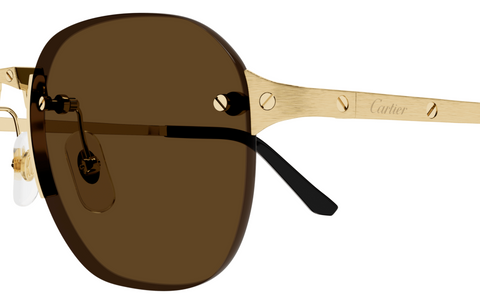 Cartier CT0459S 002 / 006