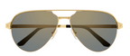 Cartier CT0386S 003