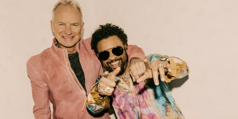 Shaggy was seen wearing gold Versace 2232 1438/87 aviator folding sunglasses in a promotional image of Cherrytree Music Company 20th Anniversary Concert with Sting