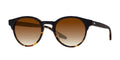Barton Perreira Beckford Sun BP40114I 05F