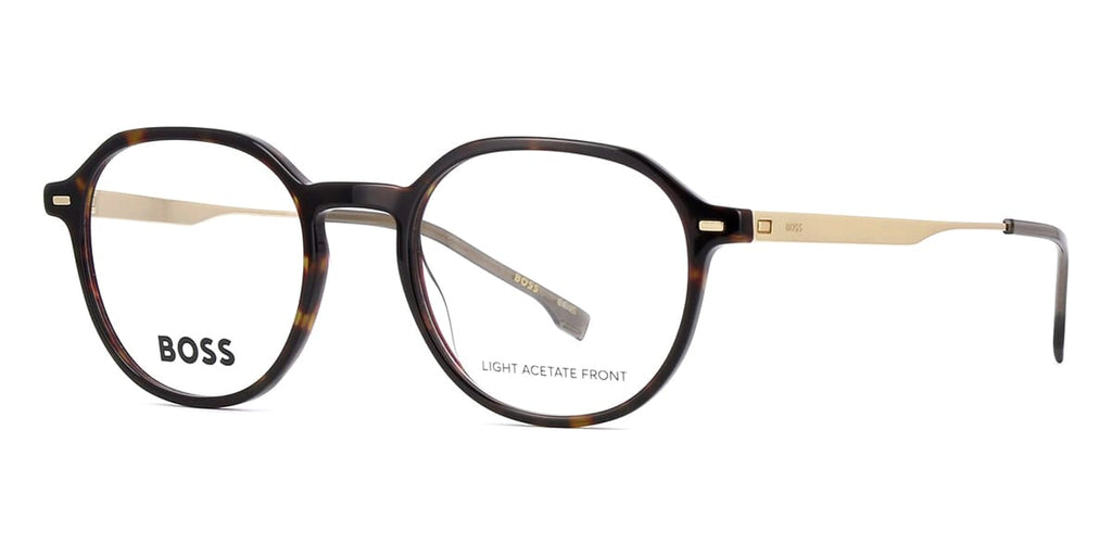 Hugo Boss 1697 2IK Glasses