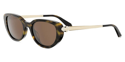 dior_others-colors