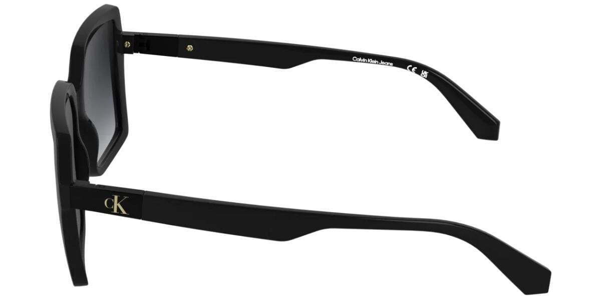 Calvin Klein CKJ26602S 001 Sunglasses